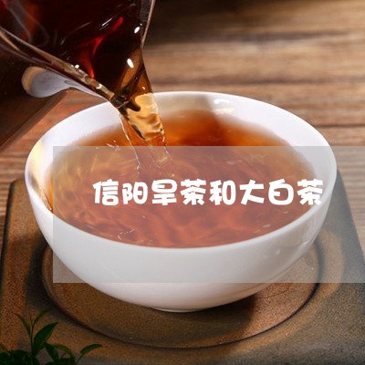 信阳旱茶和大白茶/2023061417258