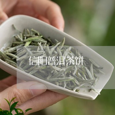 信阳普洱茶饼/2023042661121