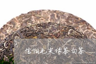 信阳毛尖绿茶白茶/2023061440371