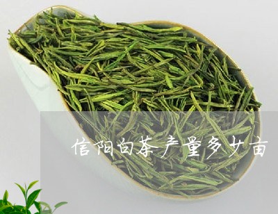 信阳白茶产量多少亩/2023121764927