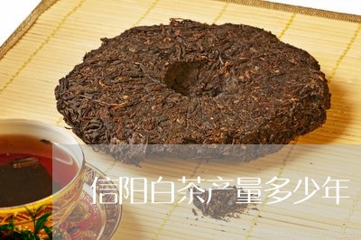 信阳白茶产量多少年/2023121716037