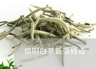 信阳白茶新茶特点/2023061486480