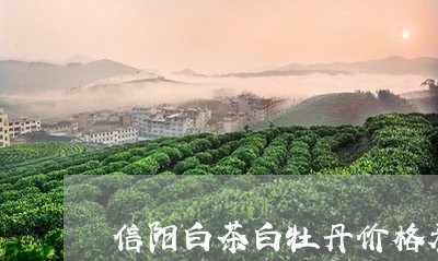 信阳白茶白牡丹价格表/2023120920514