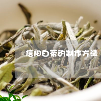 信阳白茶的制作方法/2023121724805