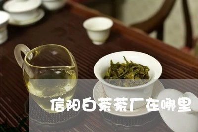 信阳白茶茶厂在哪里/2023121773714