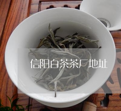 信阳白茶茶厂地址/2023061337282