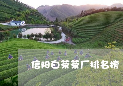 信阳白茶茶厂排名榜/2023121731614