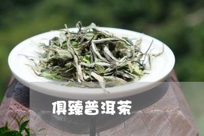 俱臻普洱茶/2023090682127