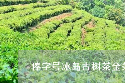 俸字号冰岛古树茶金条/2023061205168