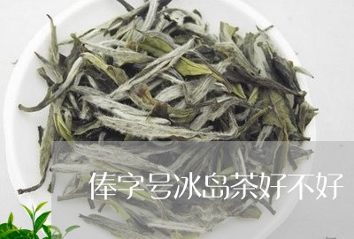 俸字号冰岛茶好不好/2023042611737