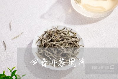 倒普洱茶图片/2023081858230