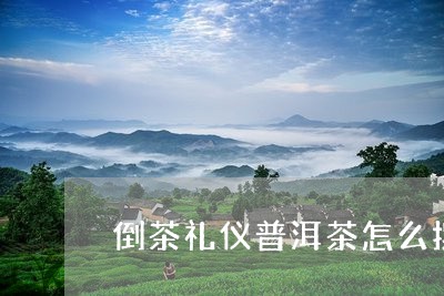 倒茶礼仪普洱茶怎么摆盘/2023102479303