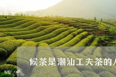 候茶是潮汕工夫茶的八步法的/2023052616150