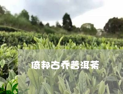 倚邦古乔普洱茶/2023121378684