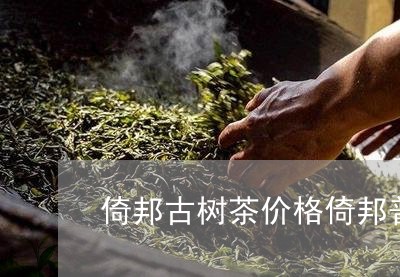 倚邦古树茶价格倚邦普洱茶的口感/2023060264049