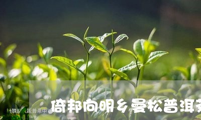 倚邦向明乡曼松普洱茶/2023061773047