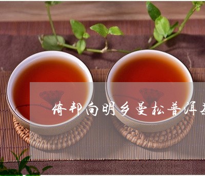 倚邦向明乡曼松普洱茶/2023092835171