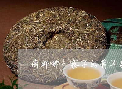 倚邦哪个寨子的普洱茶好/2023112869360