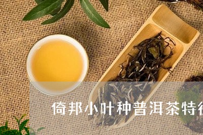 倚邦小叶种普洱茶特征/2023062338169