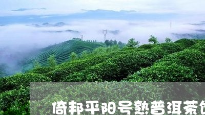 倚邦平阳号熟普洱茶饼/2023061596248