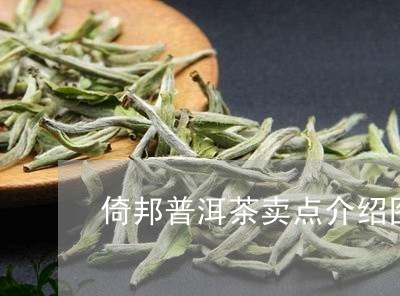 倚邦普洱茶卖点介绍图片/2023112796137