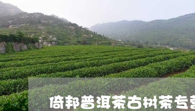 倚邦普洱茶古树茶专营/2023062372596