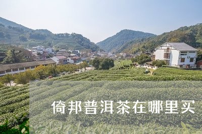 倚邦普洱茶在哪里买/2023110504938