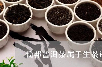 倚邦普洱茶属于生茶还是熟茶/2023082875928