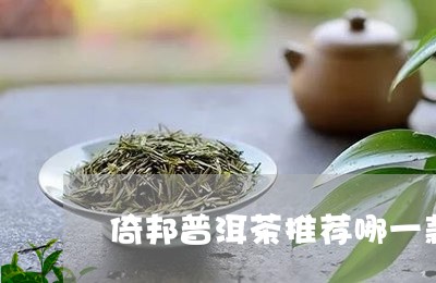 倚邦普洱茶推荐哪一款好/2023121352949