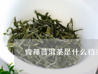 倚邦普洱茶是什么档次的茶/2023112403046