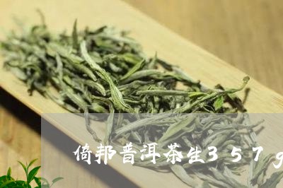 倚邦普洱茶生357g/2023112492924