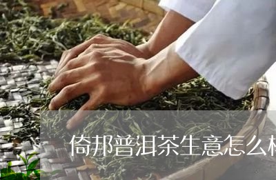 倚邦普洱茶生意怎么样/2023062816230