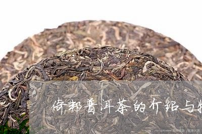 倚邦普洱茶的介绍与特点/2023110163726