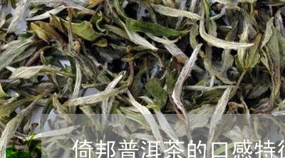 倚邦普洱茶的口感特征/2023120760493