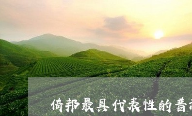 倚邦最具代表性的普洱茶/2023082891492