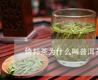 倚邦茶为什么叫普洱茶/2023073066260