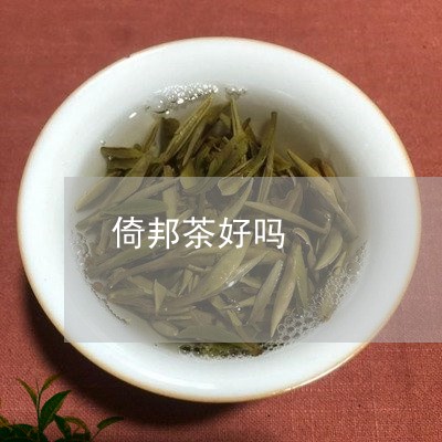 倚邦茶好吗/2023090263048