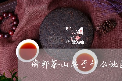 倚邦茶山属于什么地区/2023060961591