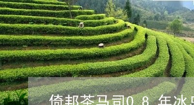 倚邦茶马司08年冰岛/2023092314037