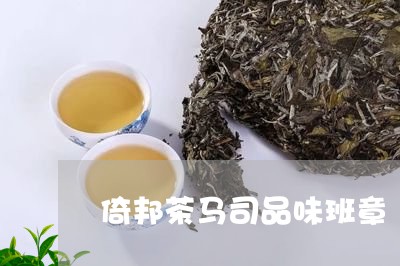 倚邦茶马司品味班章/2023042506068