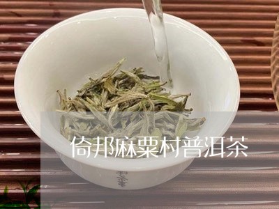 倚邦麻粟村普洱茶/2023101636048