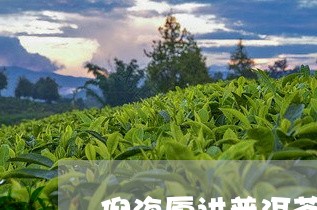 倪海厦讲普洱茶妙用/2023110557471