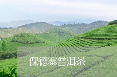 倮德寨普洱茶/2023042542860