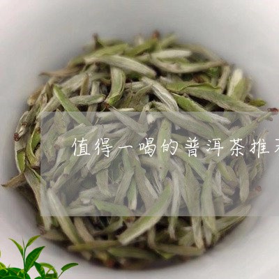 值得一喝的普洱茶推荐/2023072388583