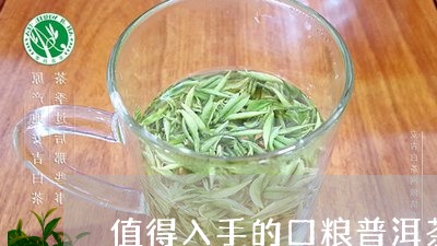 值得入手的口粮普洱茶/2023100783926