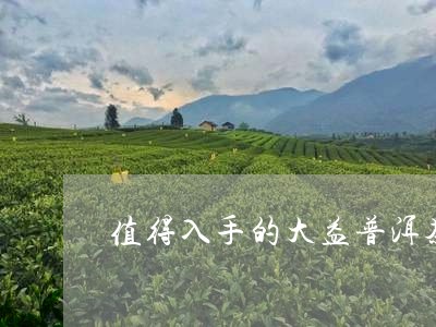 值得入手的大益普洱茶饼/2023082823839