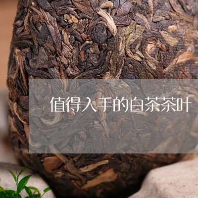 值得入手的白茶茶叶/2023071503735