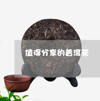 值得分享的普洱茶/2023101678460