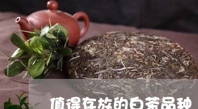 值得存放的白茶品种/2023121731603