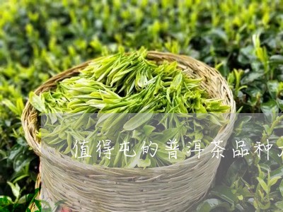 值得屯的普洱茶品种大全/2023081732706